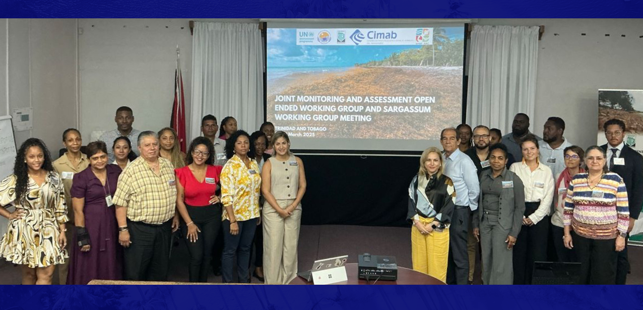 Cartagena Convention Protocols
