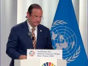 UNOC AEC