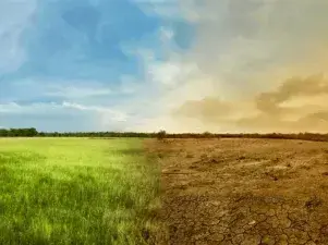 climate